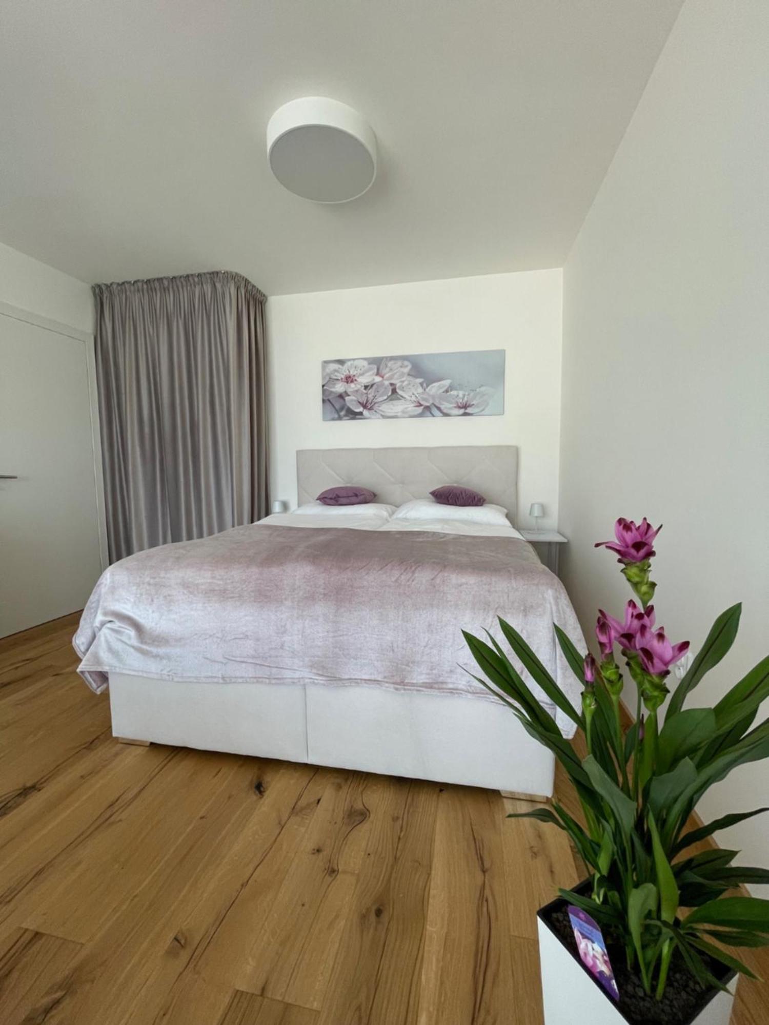 Apartment H52